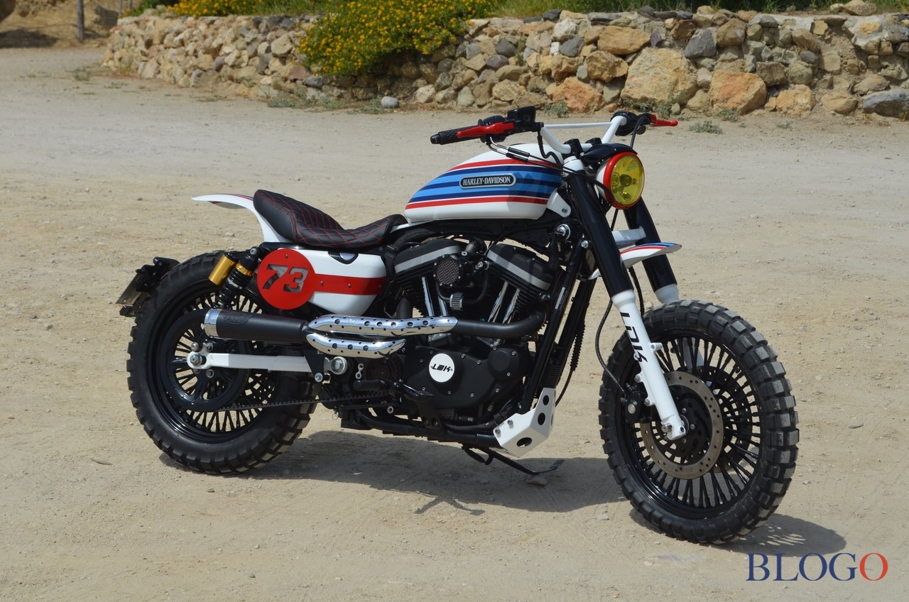 Harley-Davidson 883 Sportster "Martini" by LDK
