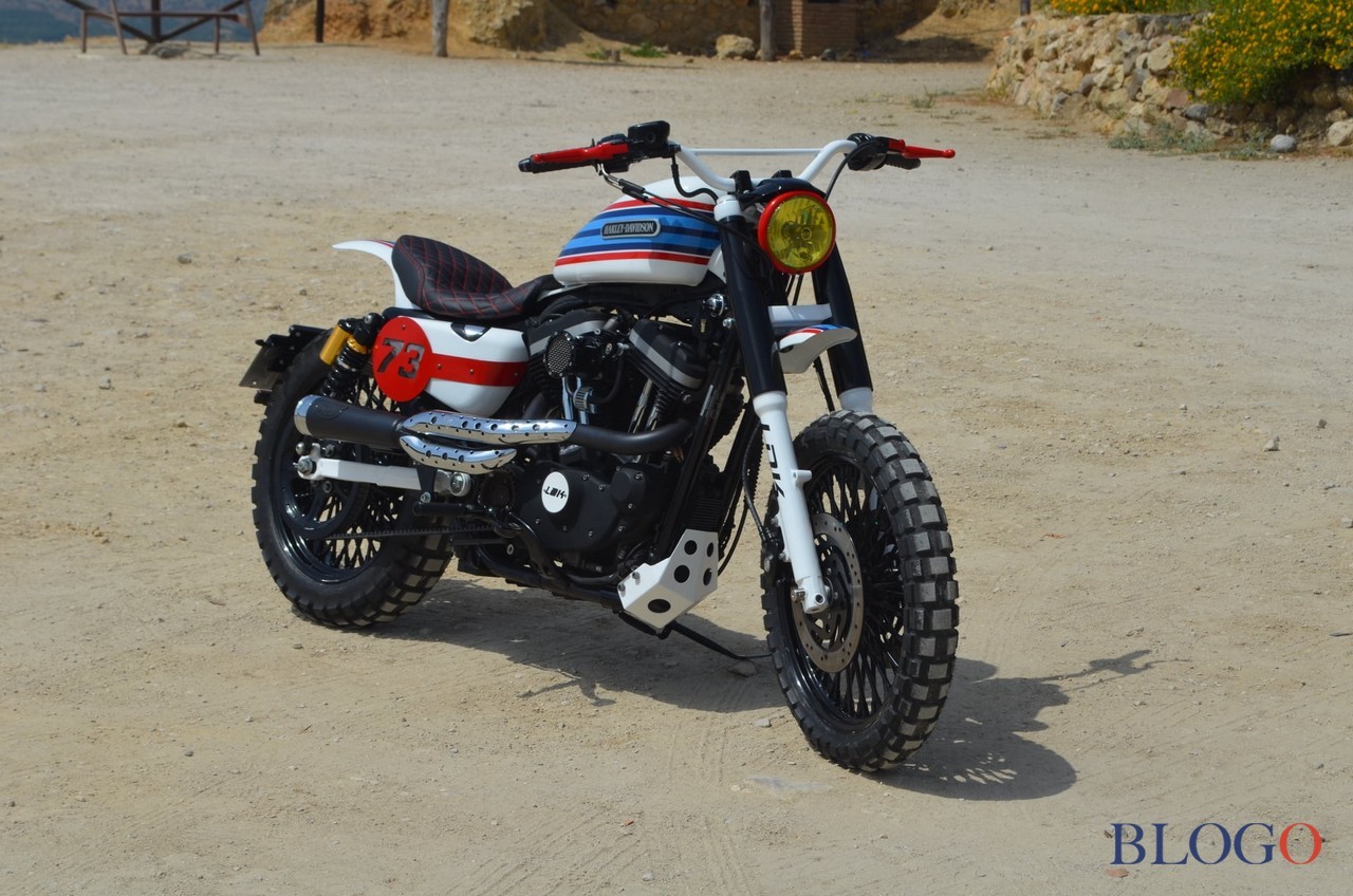 Harley-Davidson 883 Sportster "Martini" by LDK