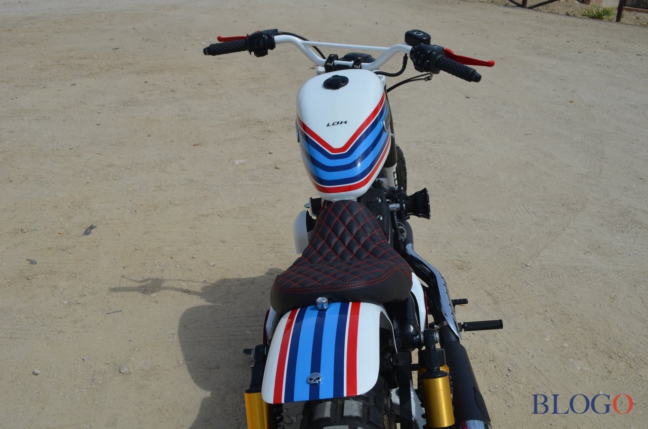 Harley-Davidson 883 Sportster "Martini" by LDK