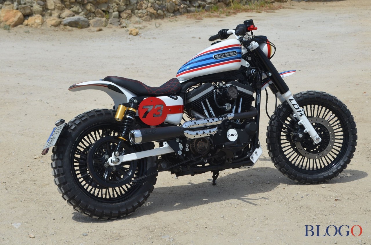 Harley-Davidson 883 Sportster "Martini" by LDK