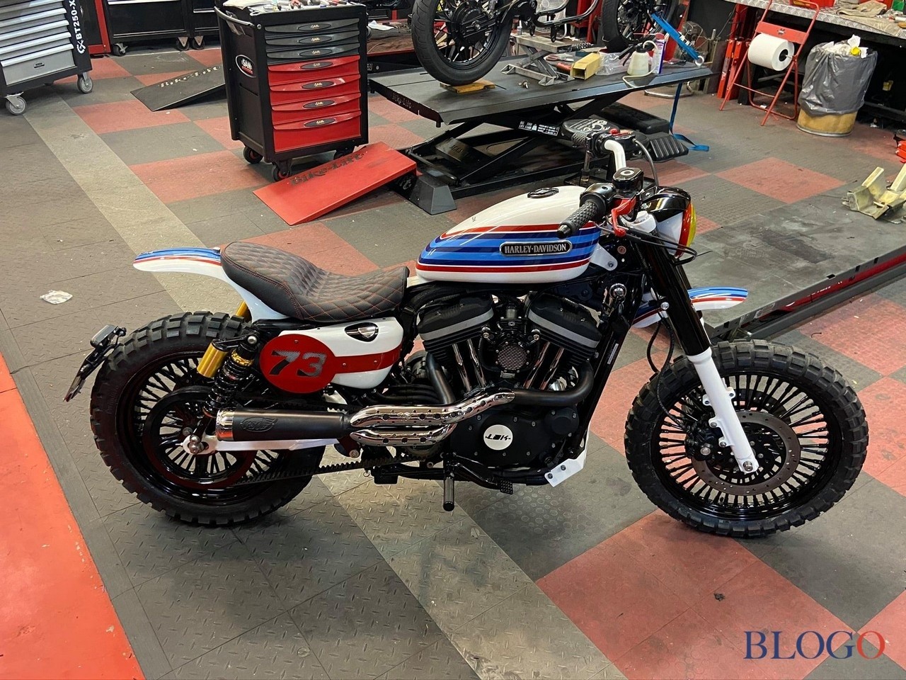 Harley-Davidson 883 Sportster "Martini" by LDK