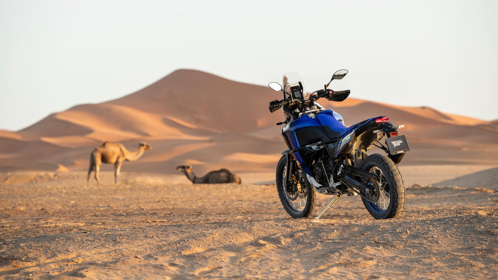 Yamaha Ténéré 700 World Raid: le foto