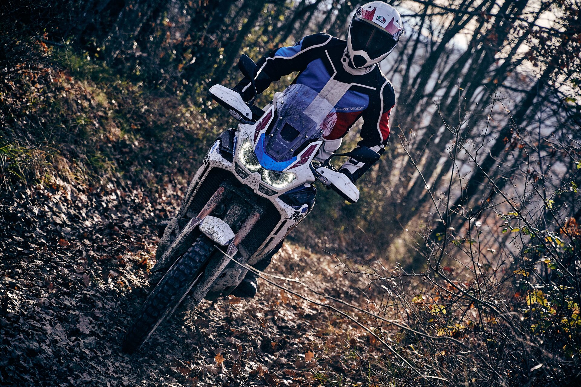 Metzeler Karoo 4: le foto