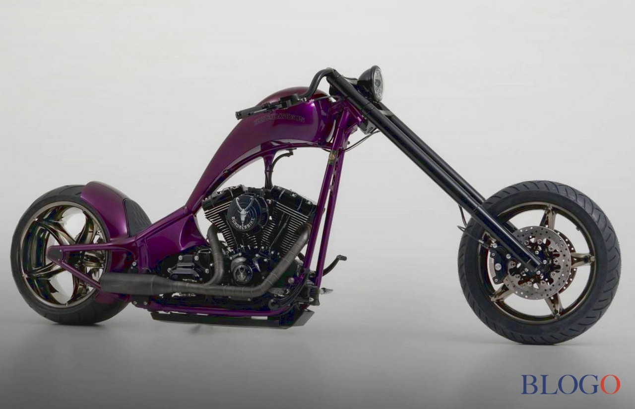 Harley-Davidson Softail S "The Giraffe" | Bundnerbike