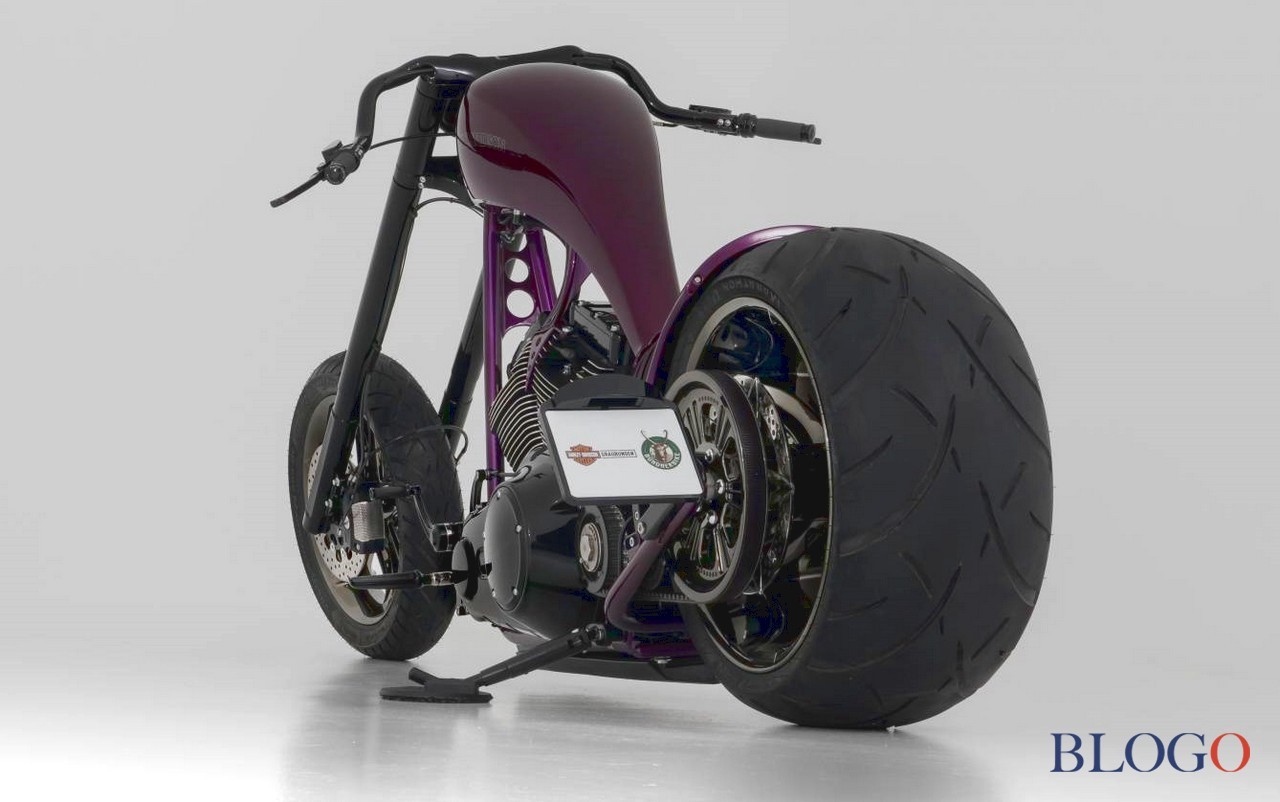 Harley-Davidson Softail S "The Giraffe" | Bundnerbike