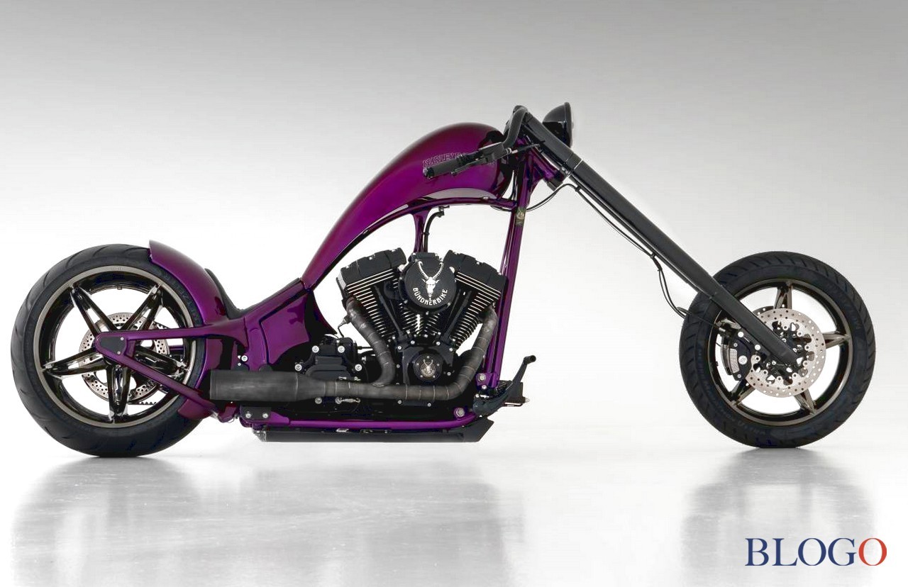 Harley-Davidson Softail S "The Giraffe" | Bundnerbike