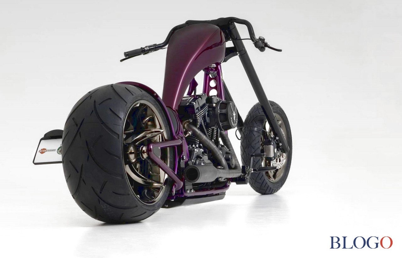 Harley-Davidson Softail S "The Giraffe" | Bundnerbike