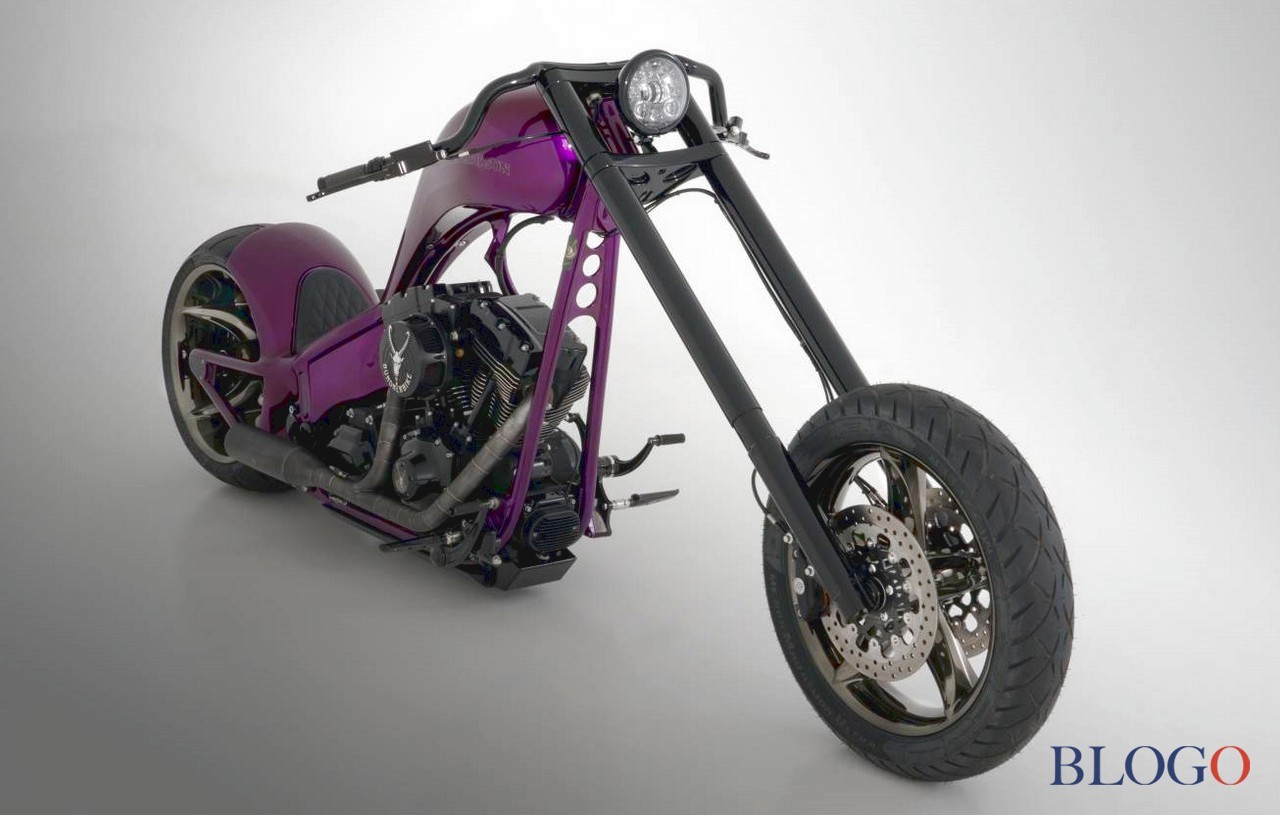 Harley-Davidson Softail S "The Giraffe" | Bundnerbike