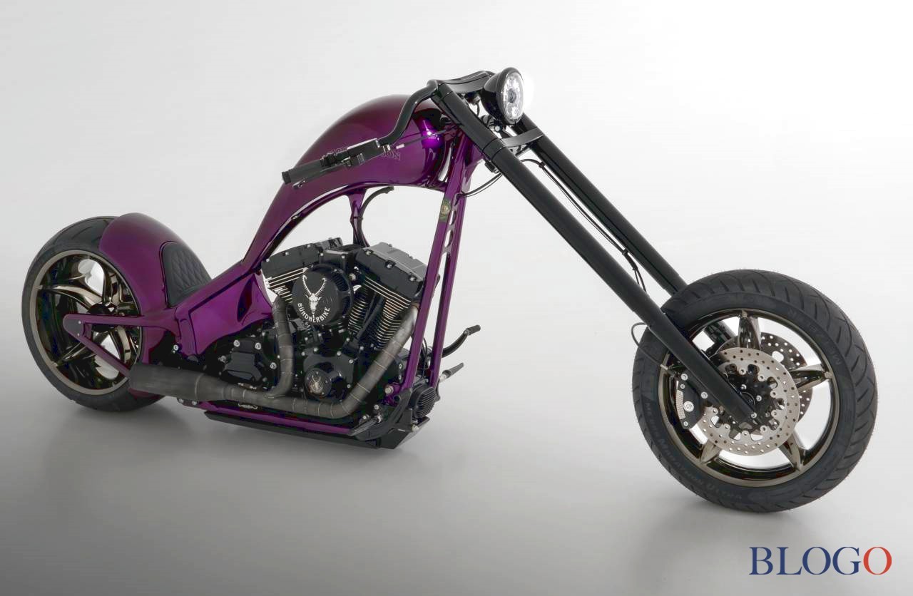 Harley-Davidson Softail S "The Giraffe" | Bundnerbike