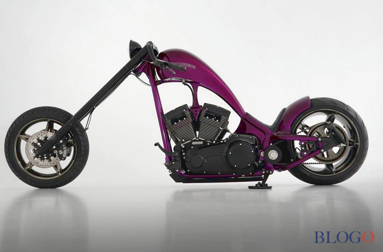 Harley-Davidson Softail S "The Giraffe" | Bundnerbike