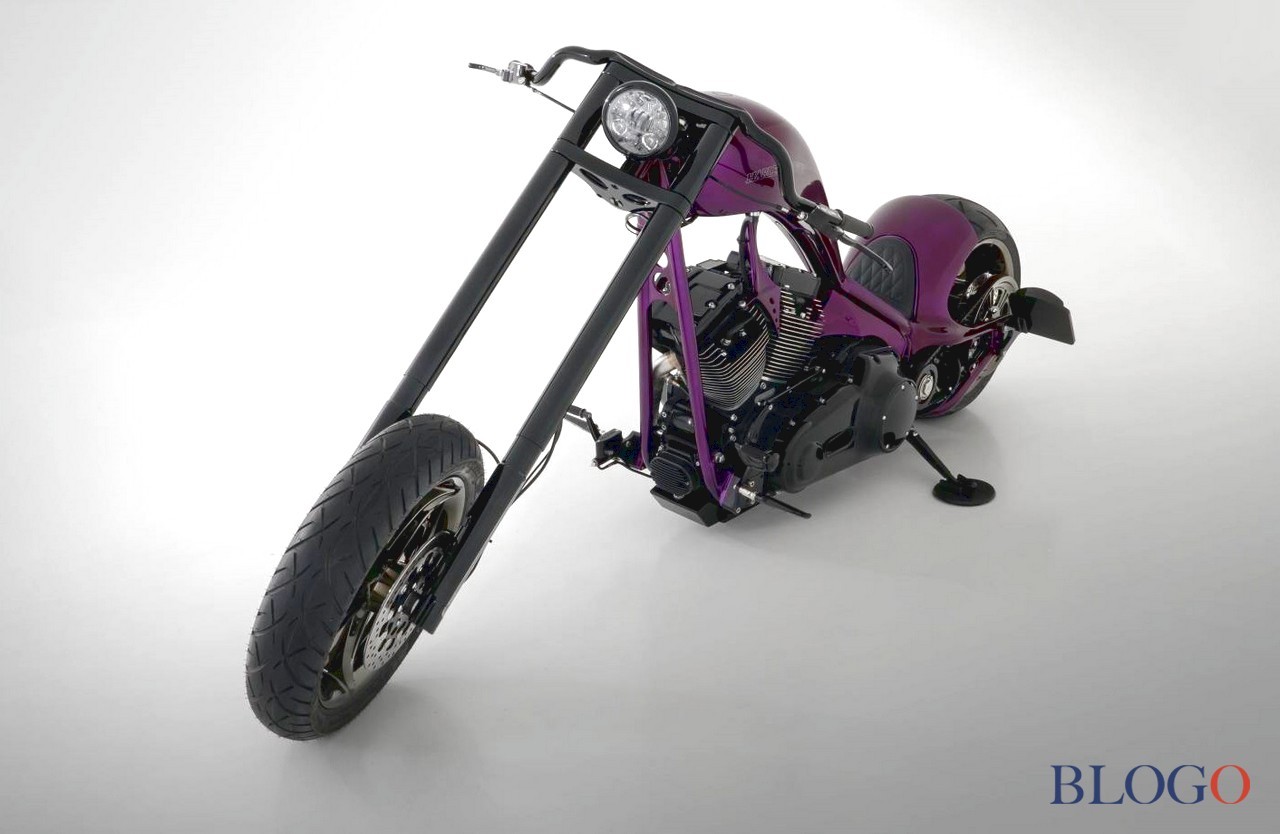 Harley-Davidson Softail S "The Giraffe" | Bundnerbike