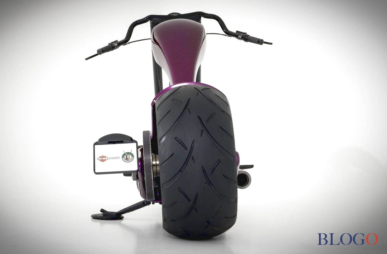 Harley-Davidson Softail S "The Giraffe" | Bundnerbike