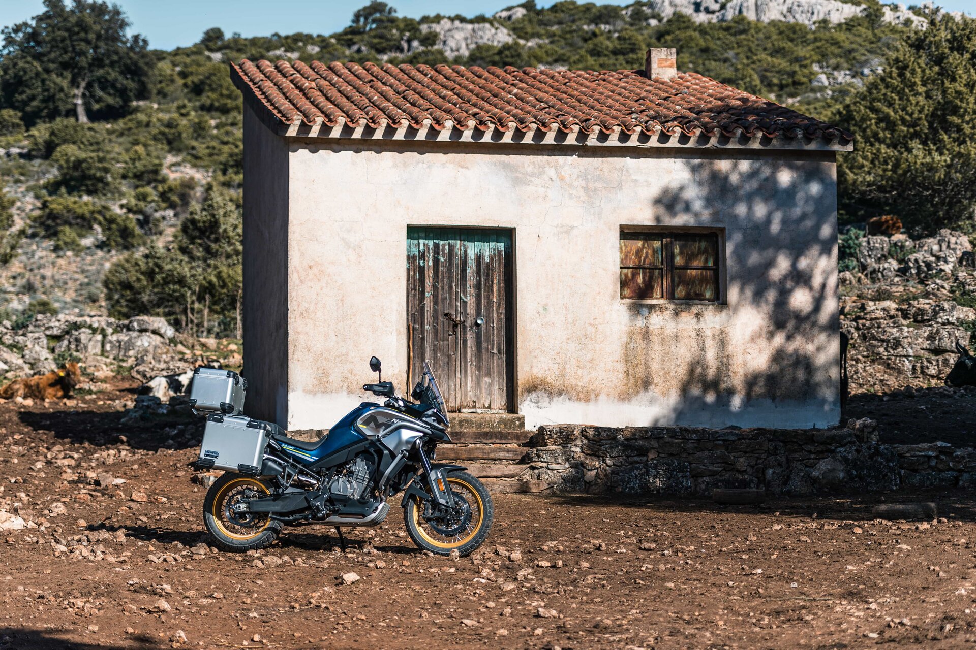 CFMoto 800MT Sport e 800MT Touring: le foto