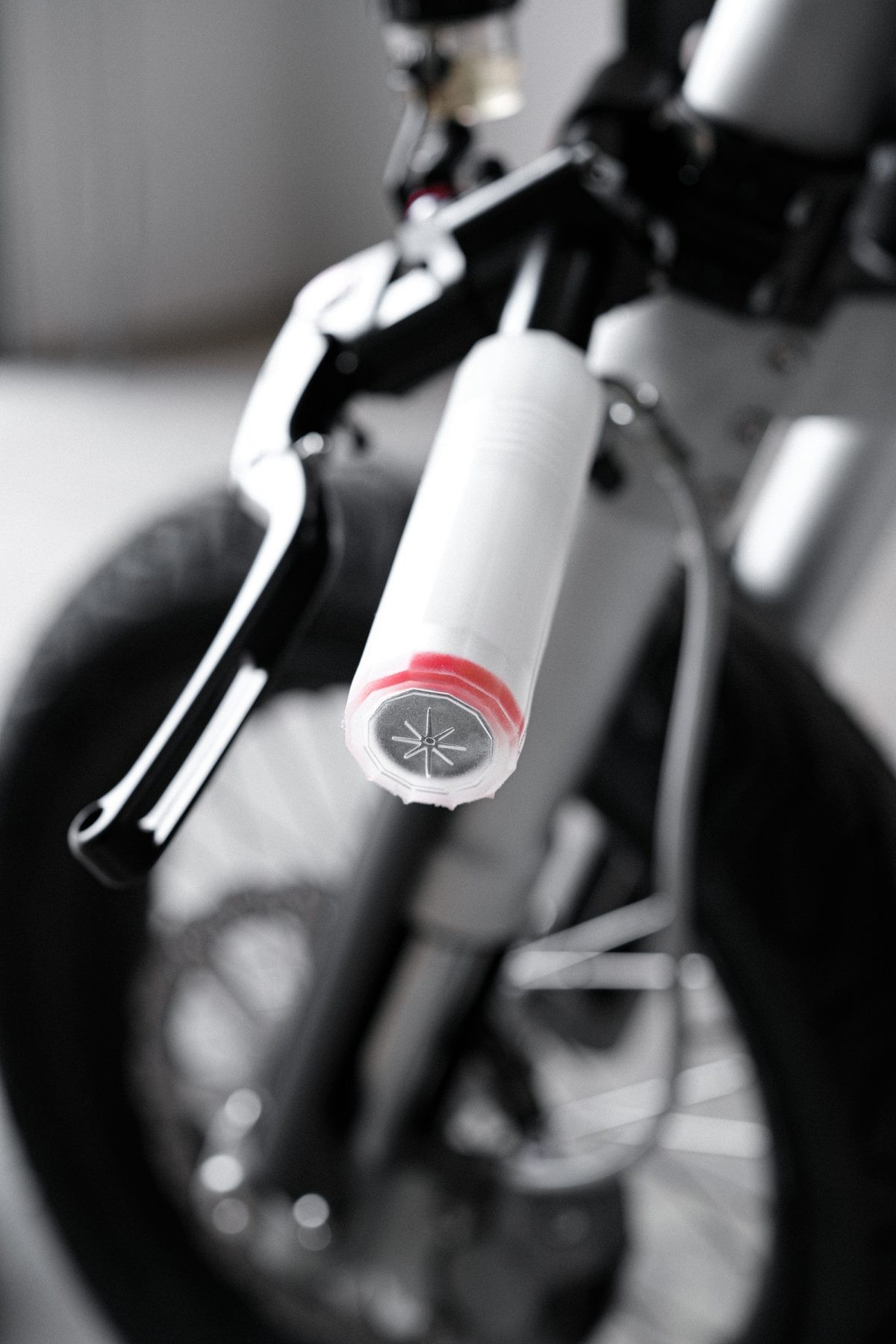 Cake Ösa+ "Silver Ant" | Hookie Co