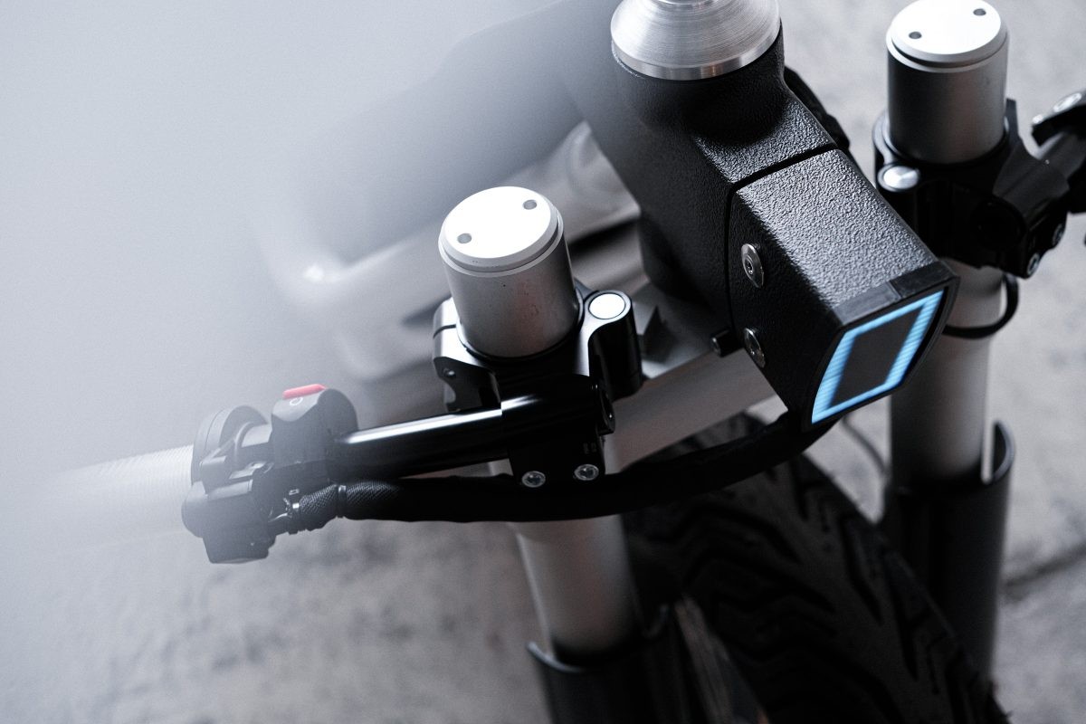 Cake Ösa+ "Silver Ant" | Hookie Co