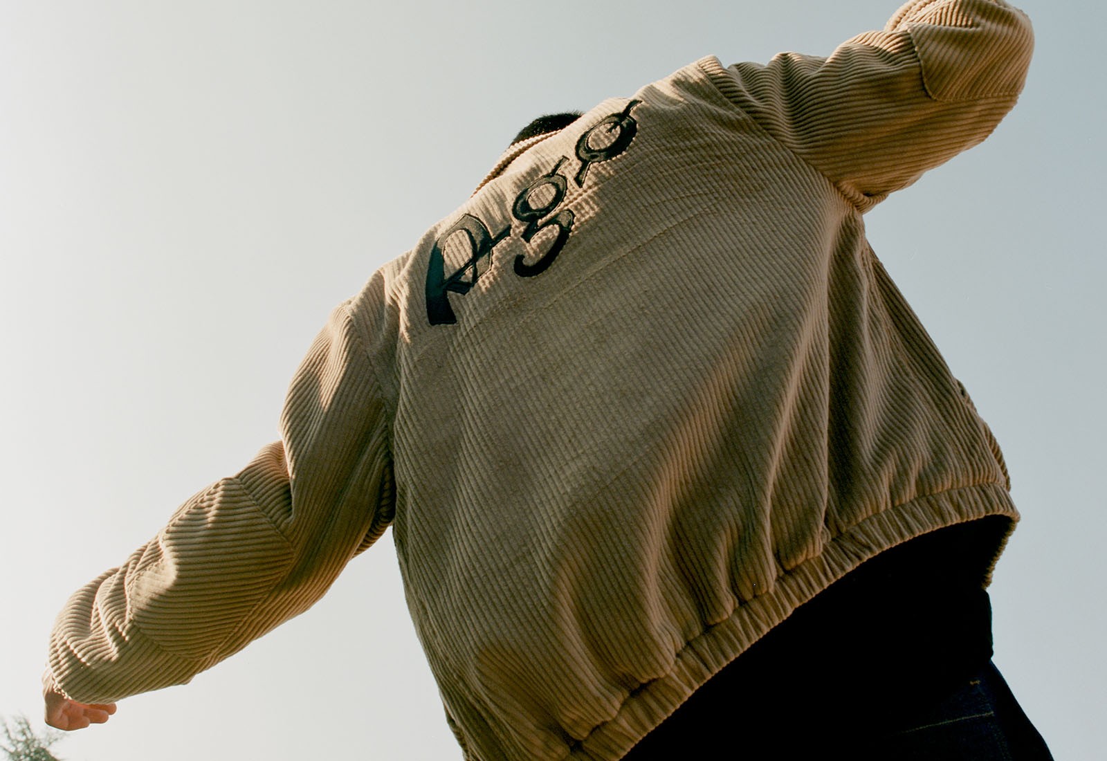 MV Agusta Logo Level 2