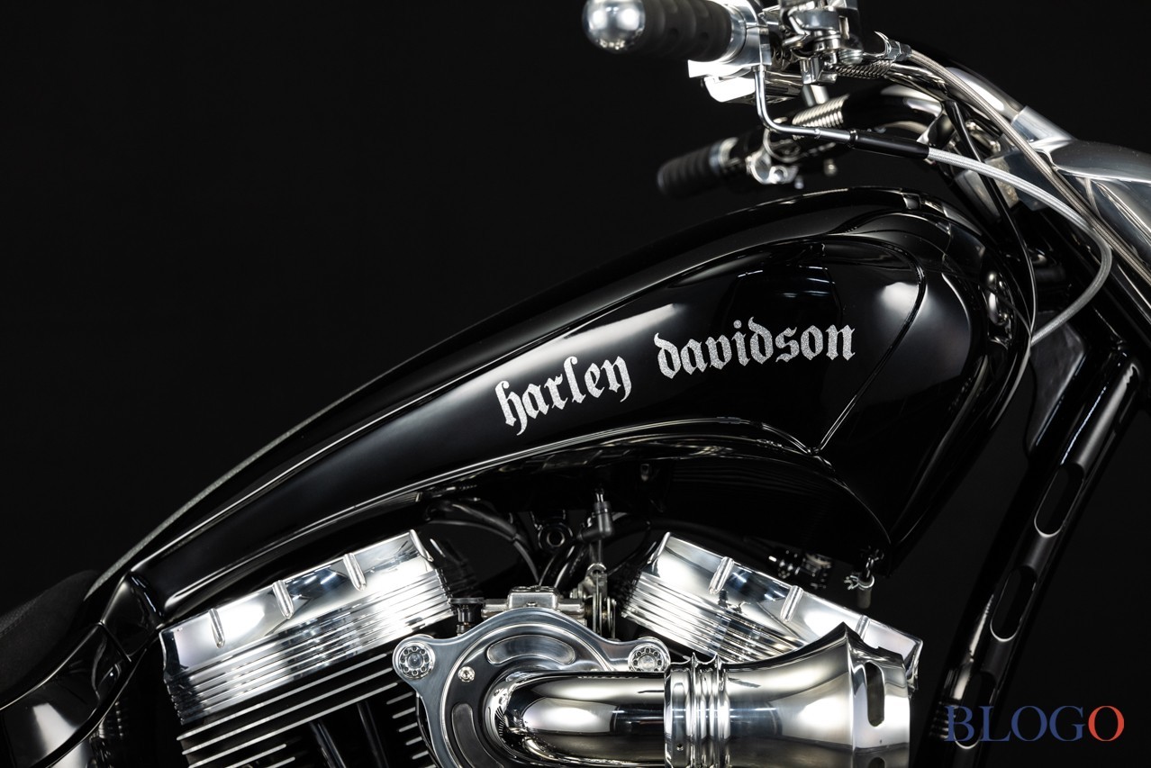 Harley-Davidson Softail "Sally" by Bad Land