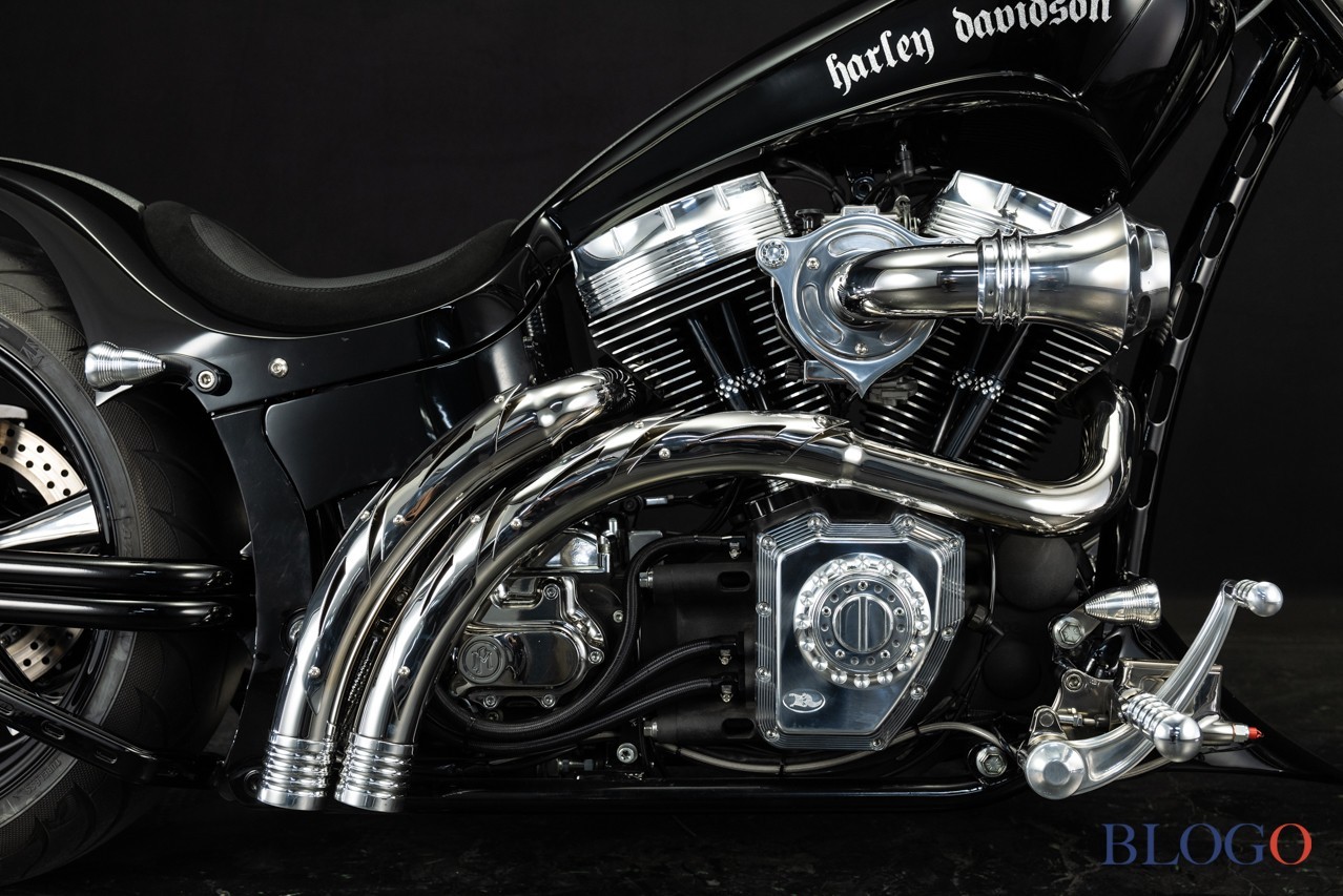 Harley-Davidson Softail "Sally" by Bad Land