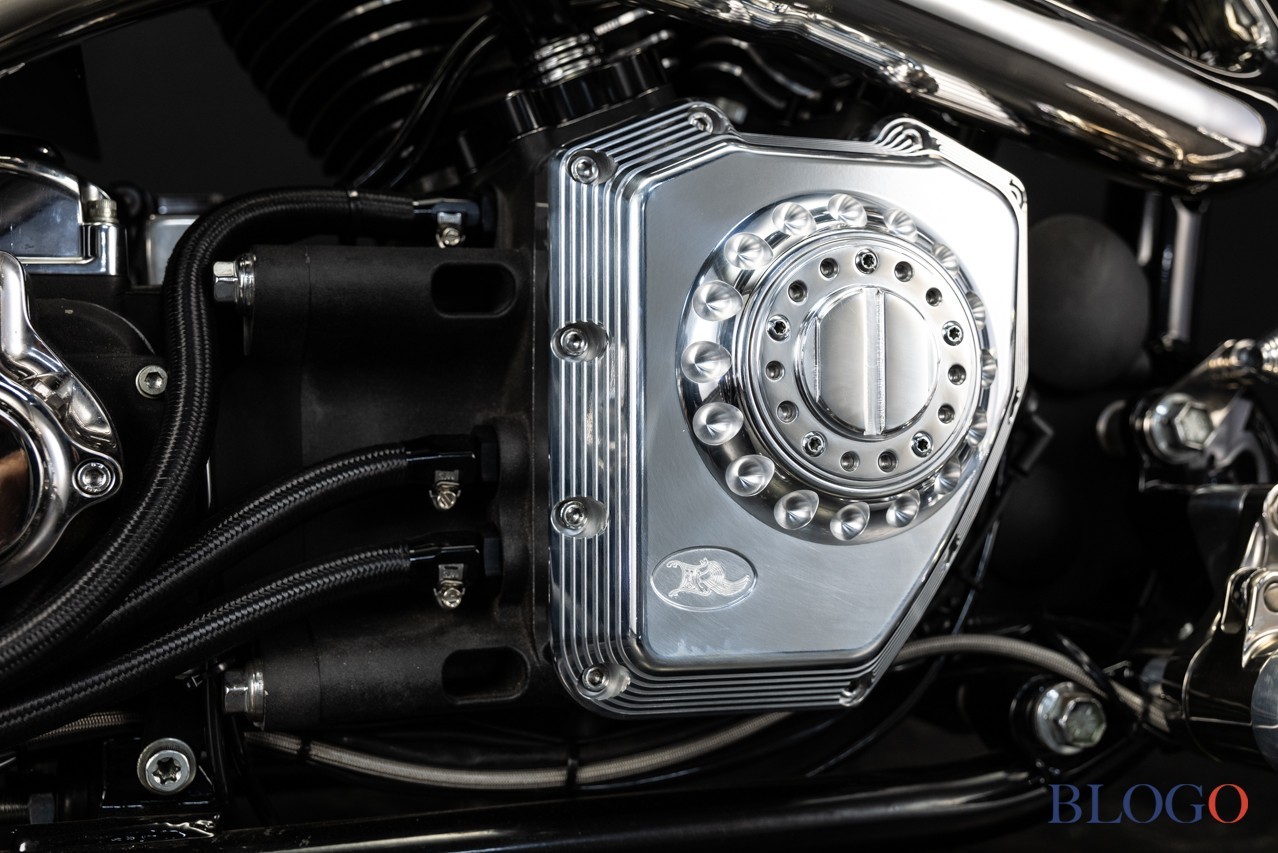 Harley-Davidson Softail "Sally" by Bad Land