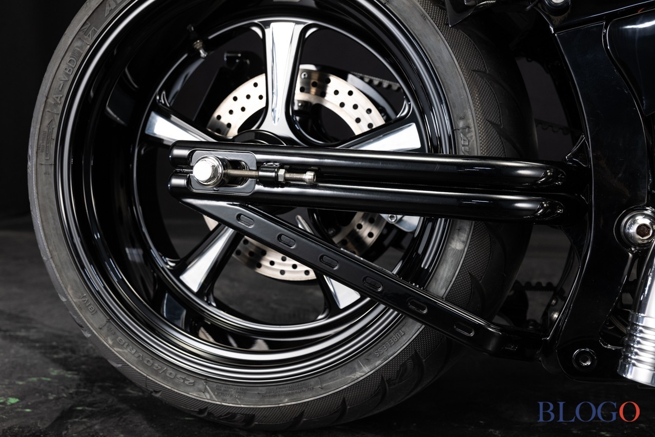 Harley-Davidson Softail "Sally" by Bad Land