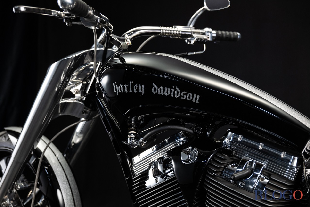Harley-Davidson Softail "Sally" by Bad Land