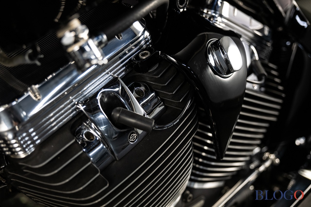 Harley-Davidson Softail "Sally" by Bad Land