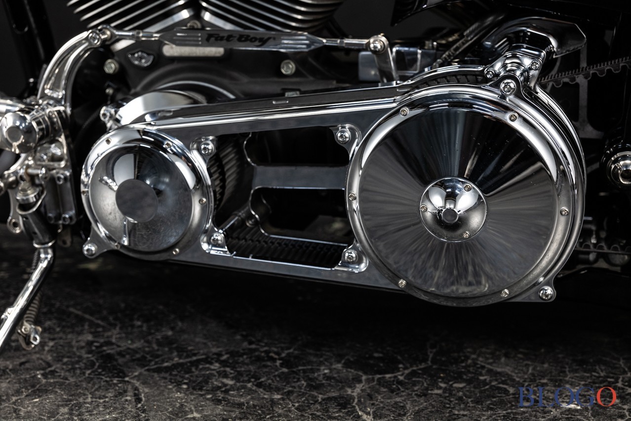 Harley-Davidson Softail "Sally" by Bad Land