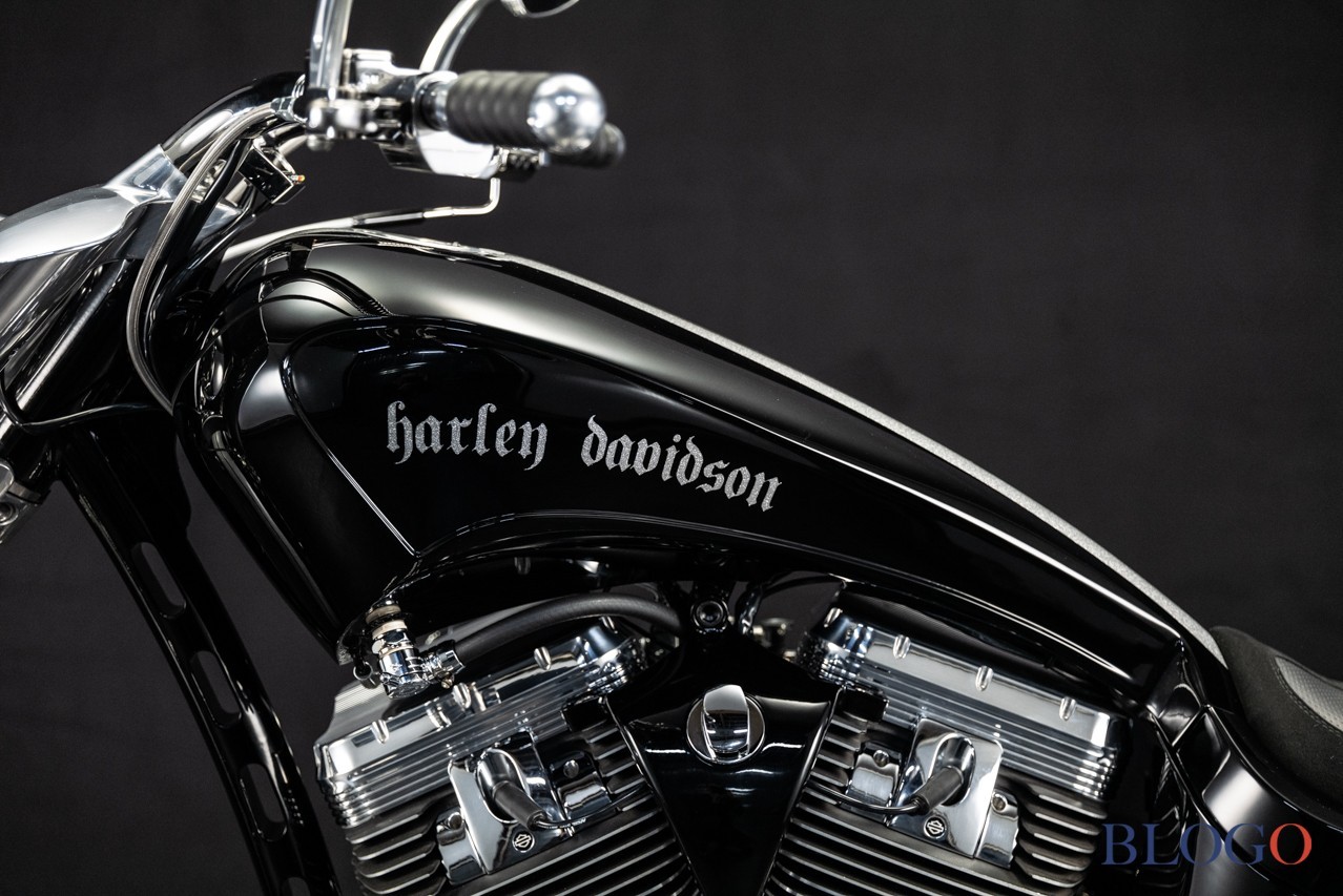 Harley-Davidson Softail "Sally" by Bad Land