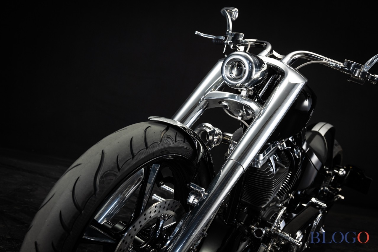 Harley-Davidson Softail "Sally" by Bad Land