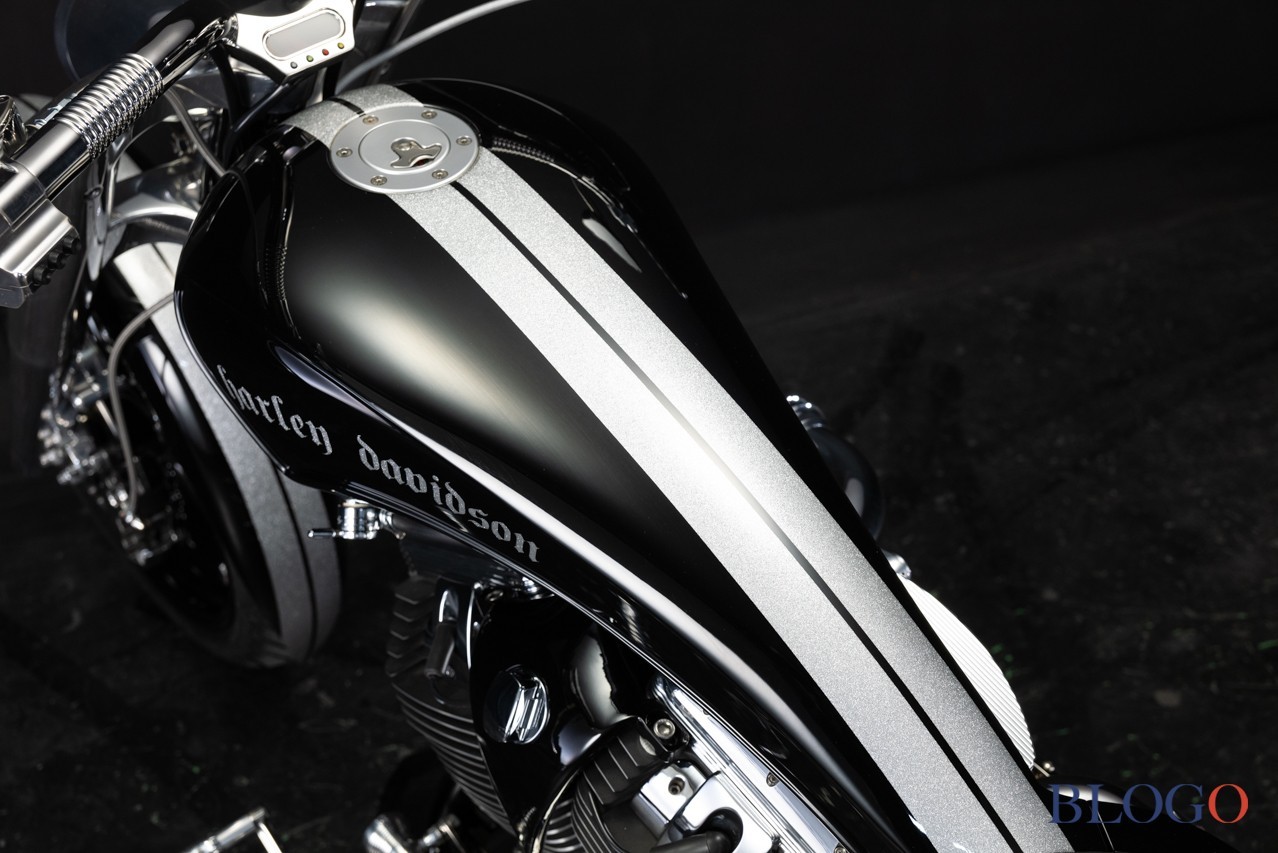 Harley-Davidson Softail "Sally" by Bad Land