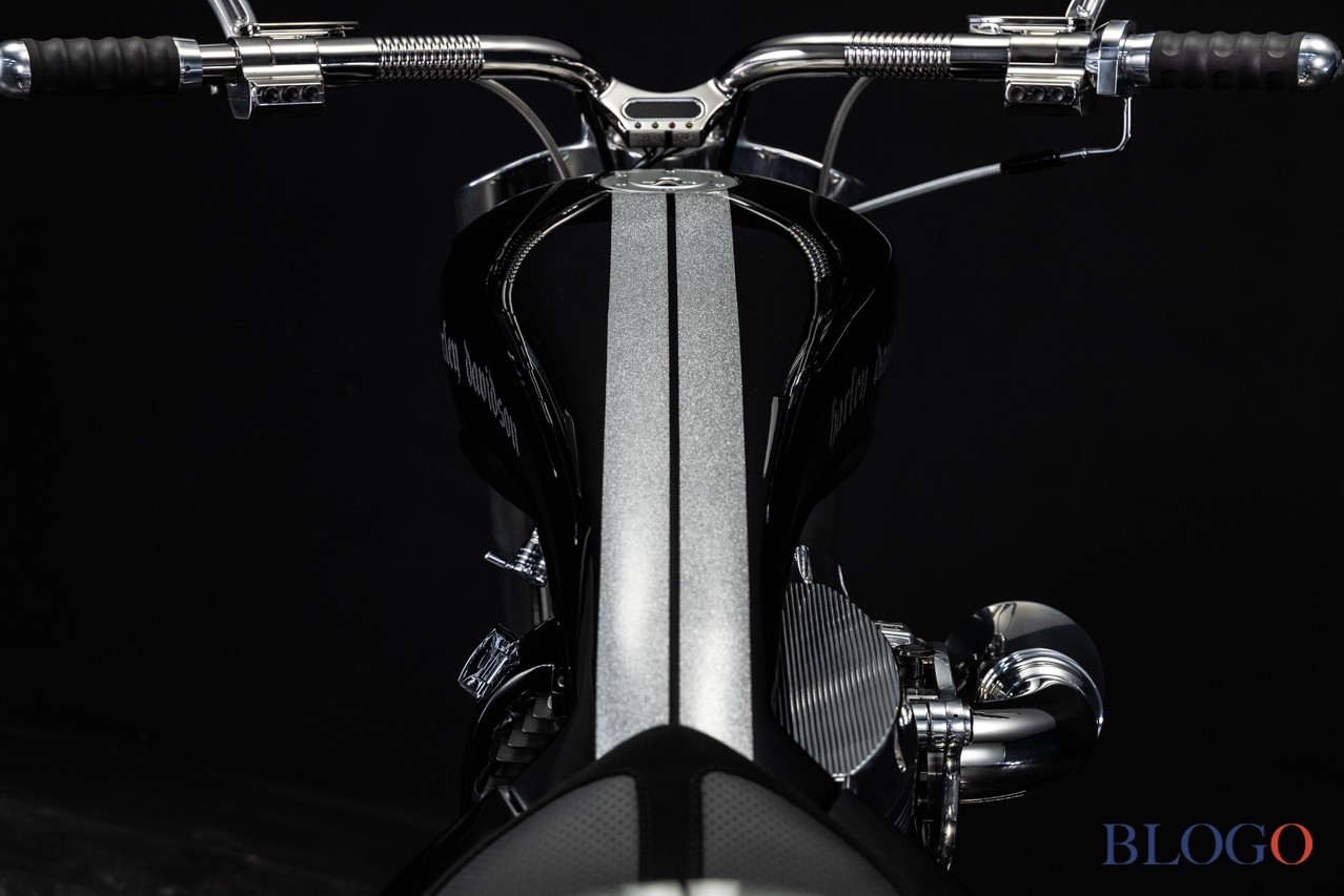 Harley-Davidson Softail "Sally" by Bad Land