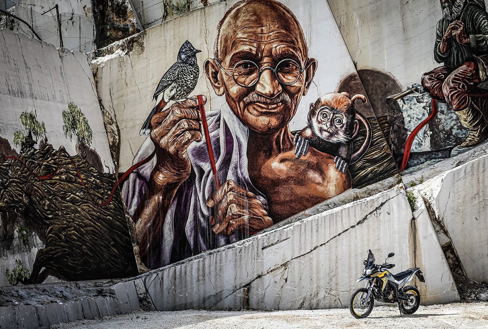 Voge Valico 300 Rally: le foto