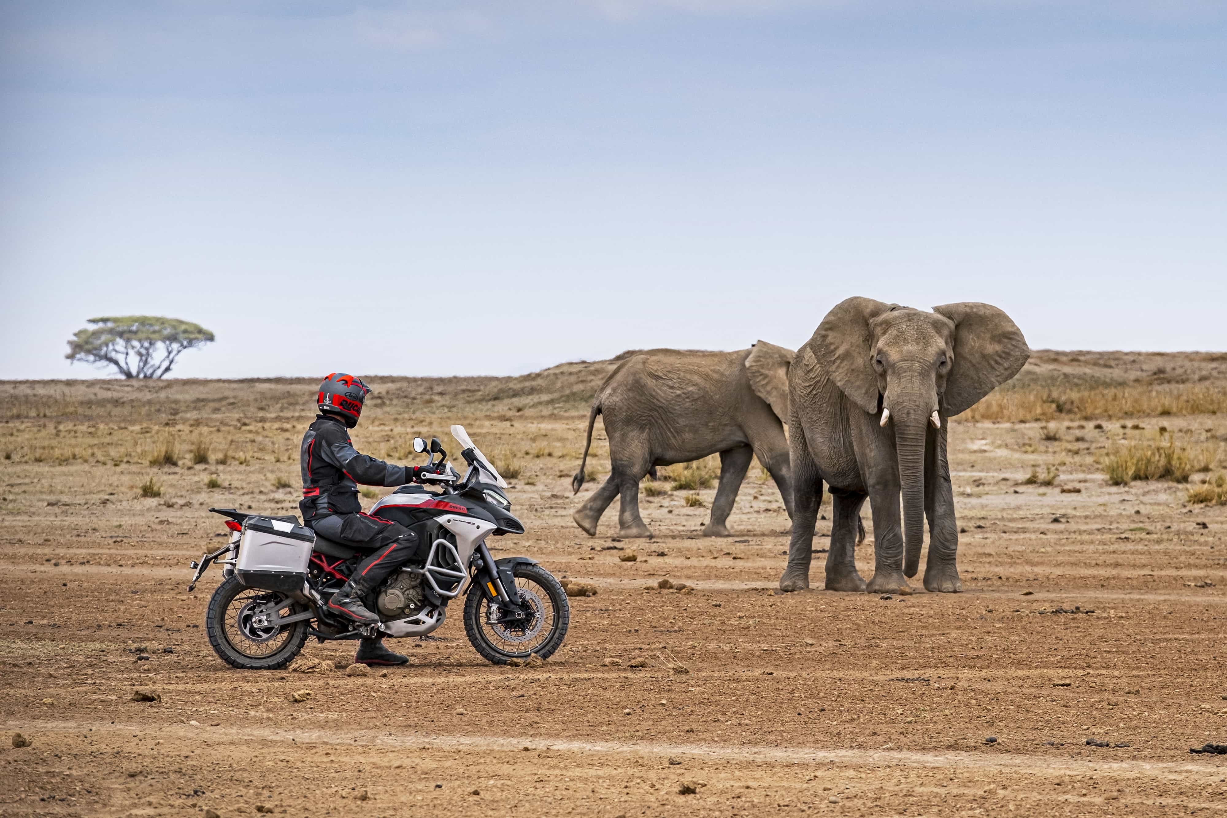 Ducati Multistrada V4 Rally: foto