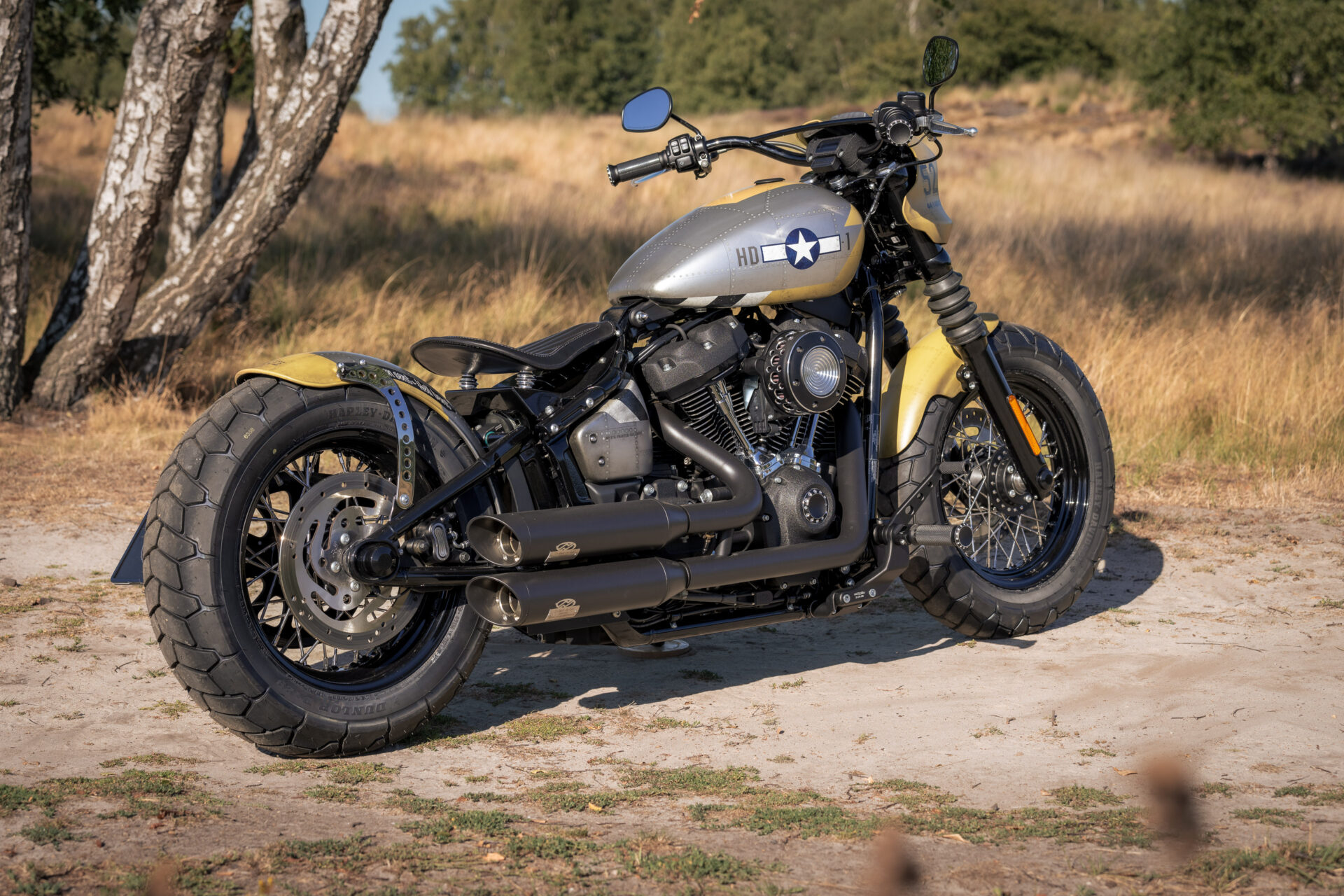 Harley-Davidson Street Bob "Mustang" by Thunderbike