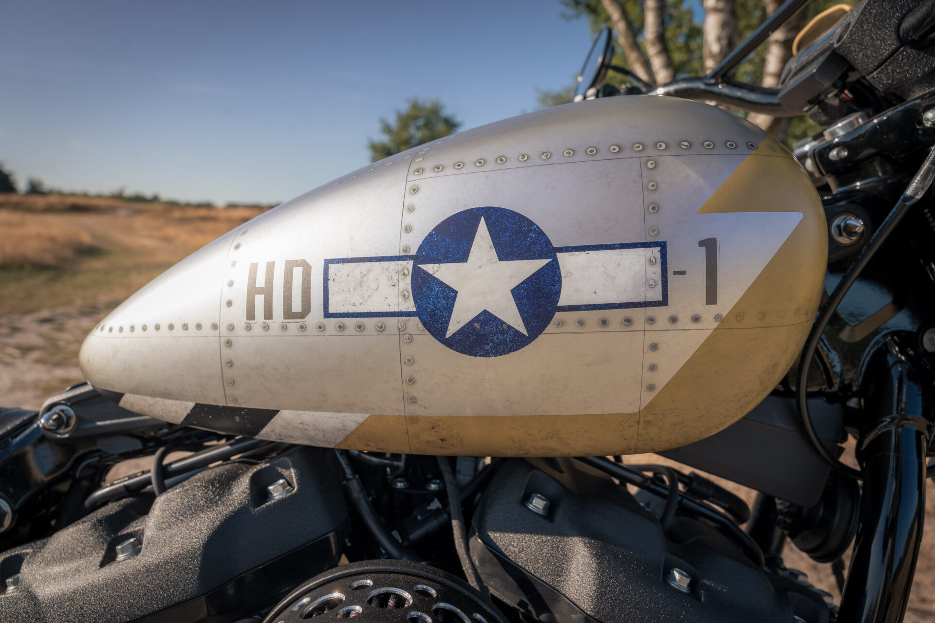 Harley-Davidson Street Bob "Mustang" by Thunderbike