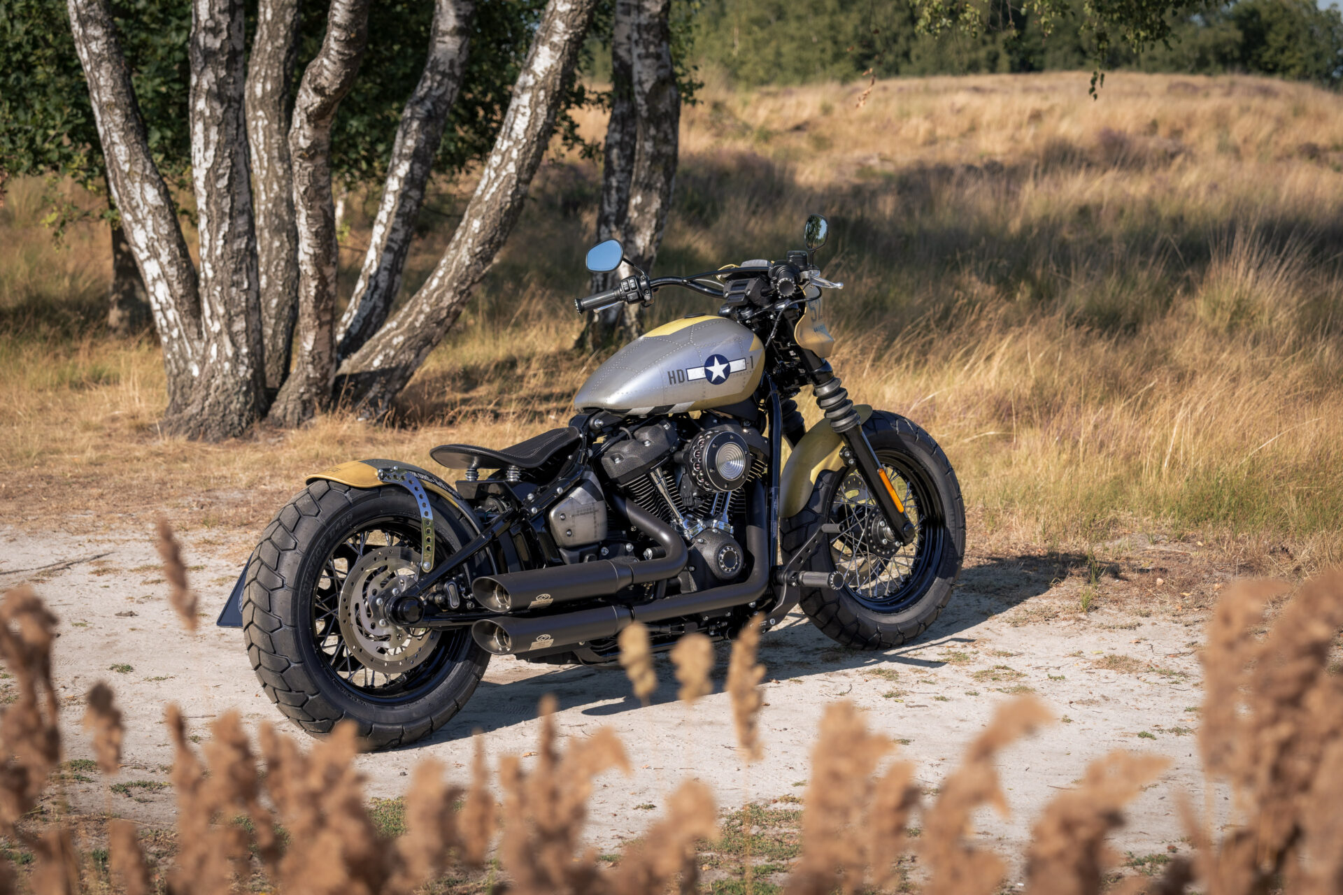 Harley-Davidson Street Bob "Mustang" by Thunderbike