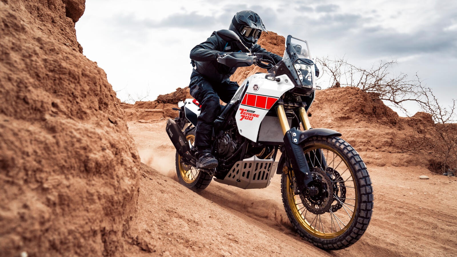 Yamaha Ténéré 700 e Ténéré 700 Rally Edition 2023: foto