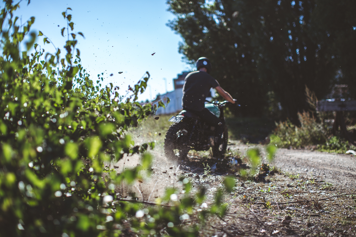 Triumph Bonneville "10" by 6/5/4 Motors