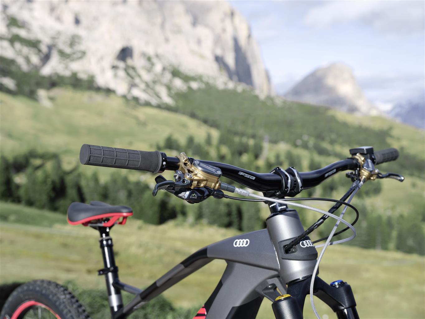 Audi Electric Mountain Bike: foto