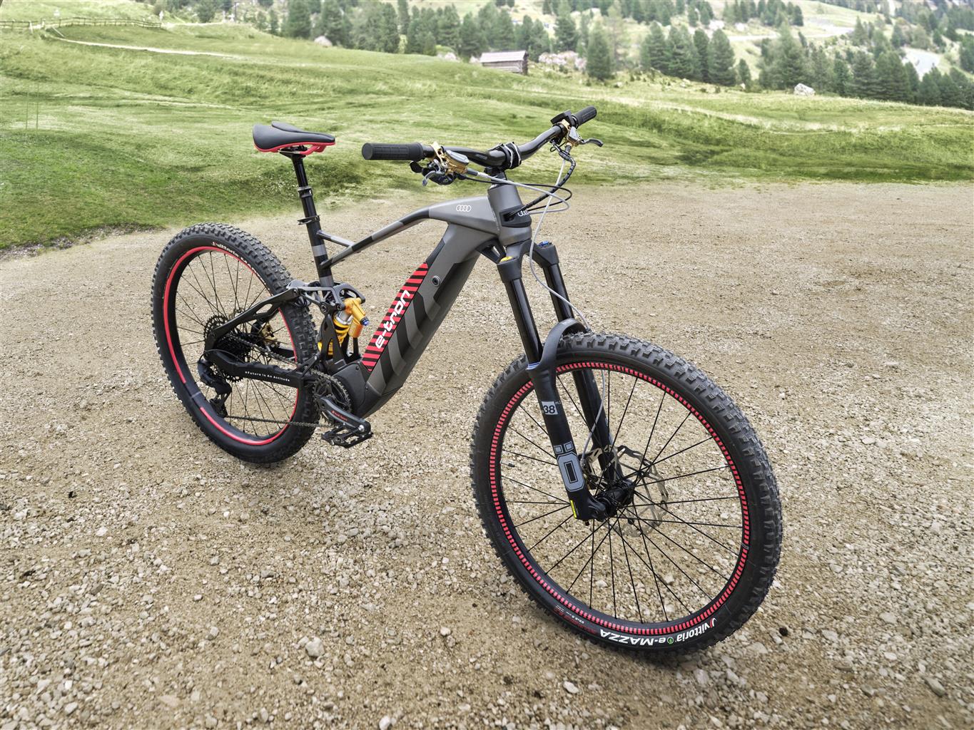 Audi Electric Mountain Bike: foto