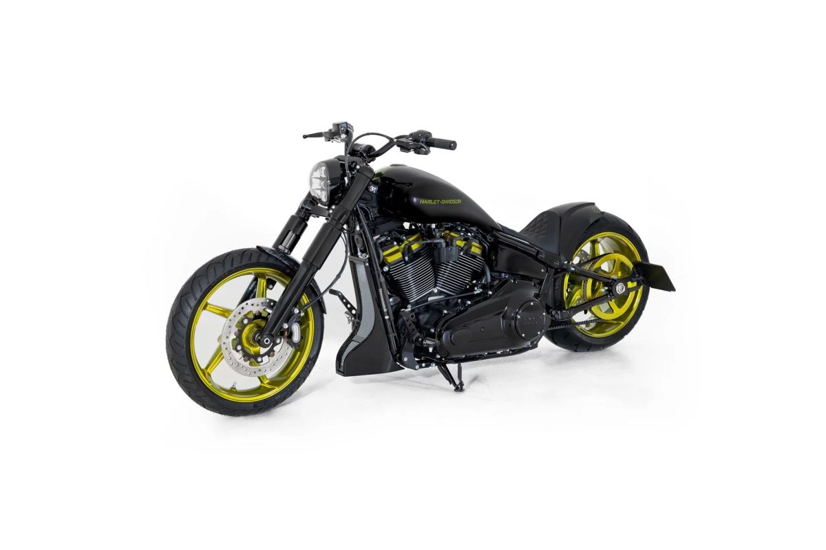 Questa Harley cambia pelle come un camaleonte: la Calumma di Bundnerbike